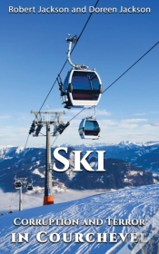 Capa do artigo Ski