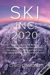 Capa do artigo Ski Inc. 2020