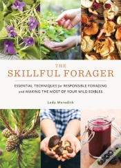 Capa do artigo Skillful Forager