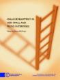 Skills Development In Very Small And Micro Enterprises - Preview