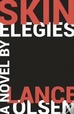 Capa do artigo Skin Elegies