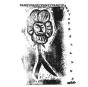 Skin Graft - CD - Preview