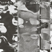 Capa do artigo Skins N Slime - Vinil