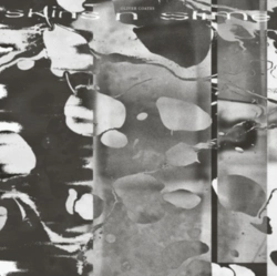 Capa do artigo Skins N Slime - Vinil