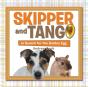 Skipper And Tango - Preview