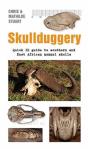 Skullduggery A Quick - Preview