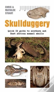 Capa do artigo Skullduggery A Quick