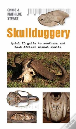 Capa do artigo Skullduggery A Quick