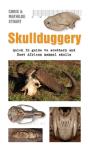 Skullduggery - Preview