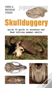 Capa do artigo Skullduggery