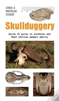 Capa do artigo Skullduggery