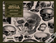 Skulls And Skeletons