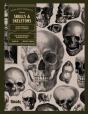 Skulls And Skeletons - Preview