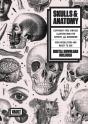 Skulls & Anatomy - Preview