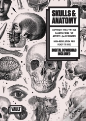 Capa do artigo Skulls & Anatomy