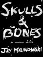 Skulls & Bones: A Novella - Preview
