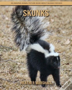 Capa do artigo Skunks