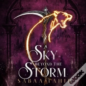 Capa do artigo Sky Beyond The Storm
