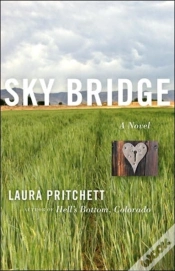 Capa do artigo Sky Bridge