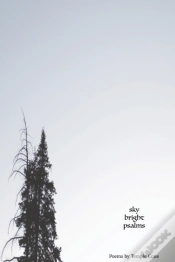 Capa do artigo Sky Bright Psalms