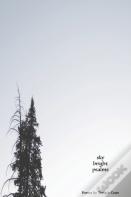 Sky Bright Psalms