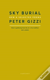 Capa do artigo Sky Burial