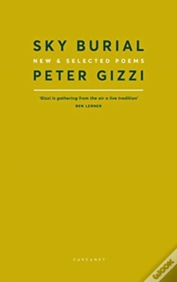 Capa do artigo Sky Burial
