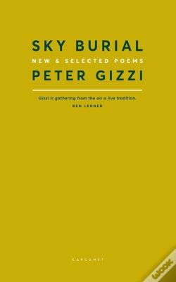 Capa do artigo Sky Burial