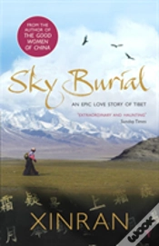 Capa do artigo Sky Burial