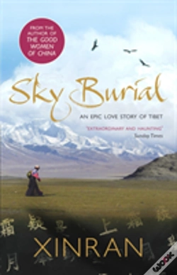 Capa do artigo Sky Burial