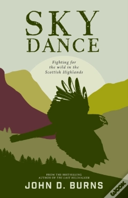 Capa do artigo Sky Dance