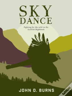 Capa do artigo Sky Dance