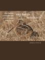 Sky Dance Of The Woodcock - Preview