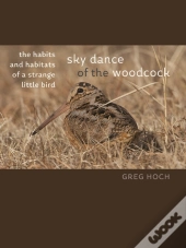 Sky Dance Of The Woodcock