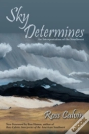 Capa do artigo Sky Determines