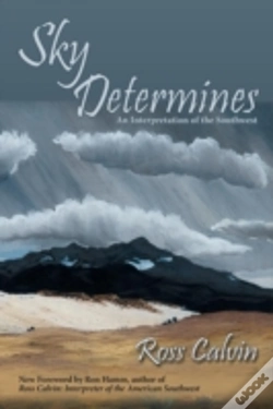 Capa do artigo Sky Determines