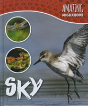 Sky - Preview