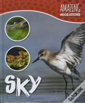 Capa do artigo Sky