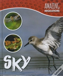 Capa do artigo Sky