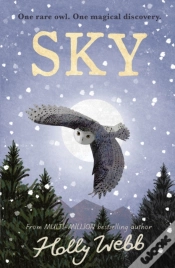 Capa do artigo Sky