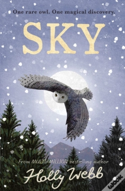 Capa do artigo Sky