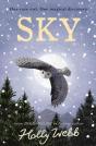 Sky - Preview