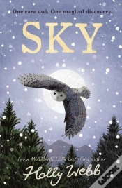 Capa do artigo Sky