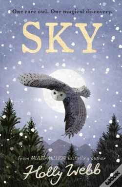 Capa do artigo Sky