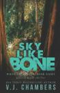 Sky Like Bone - Preview