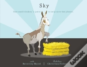Capa do artigo Sky