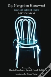Capa do artigo Sky Navigation Homeward