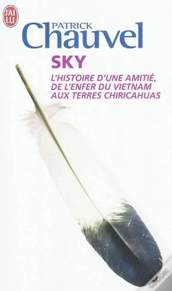 Capa do artigo Sky