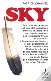 Capa do artigo Sky