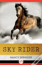 Capa do artigo Sky Rider
